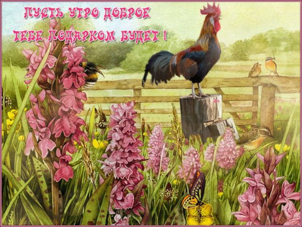 Доброе утро природа