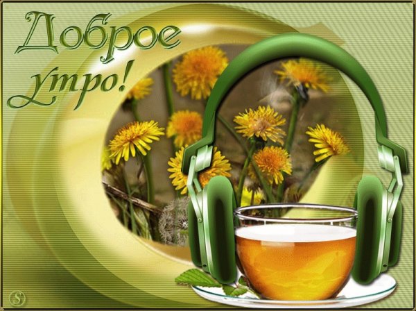 Доброва солнечного утро