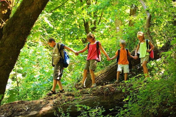 Сюжетная композиция в живописи