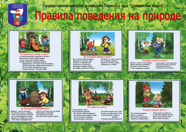 Правила безопасности в лесу для дошкольников