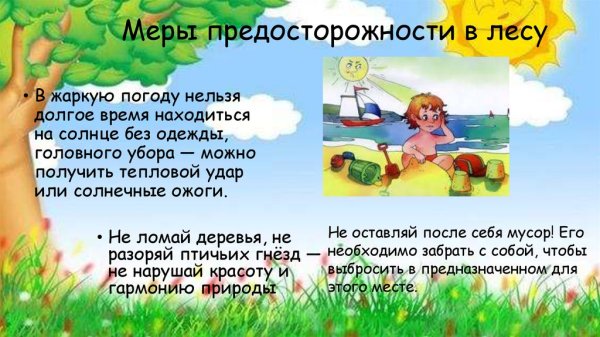 Правила поведения на природе летом