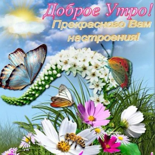 Доброго летнего дня среды