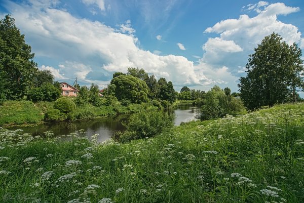 Доброе летнее утро
