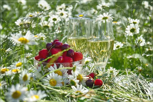 Доброе летнее утро последний день лета