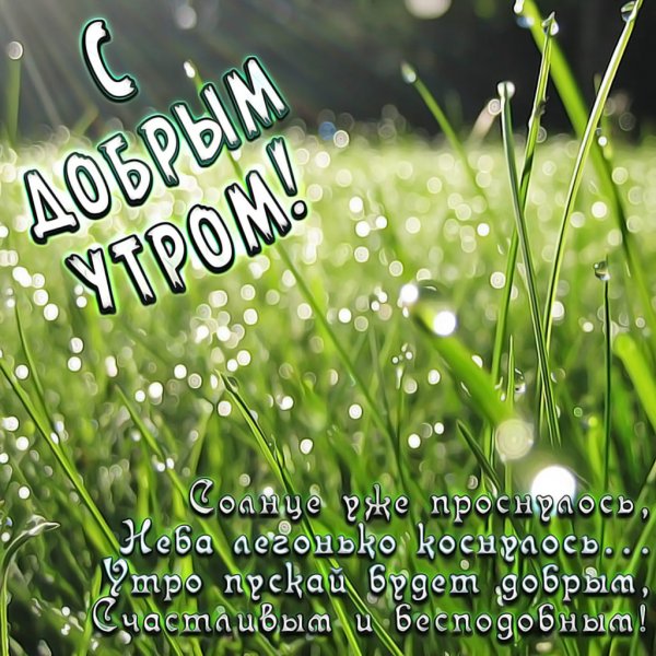 Счастливого дня природа