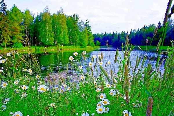 Красивые пейзажи с добрым утром