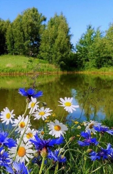 Красота русской природы