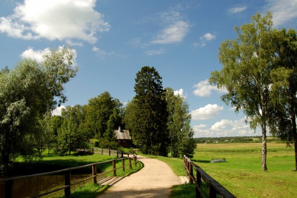 Летний пейзаж