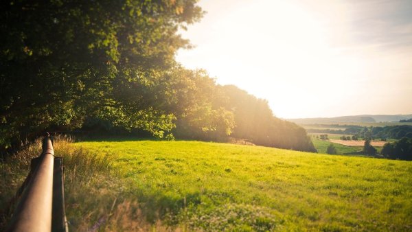 Я ная Поляна поля август