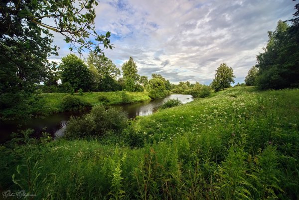 Летний пейзаж