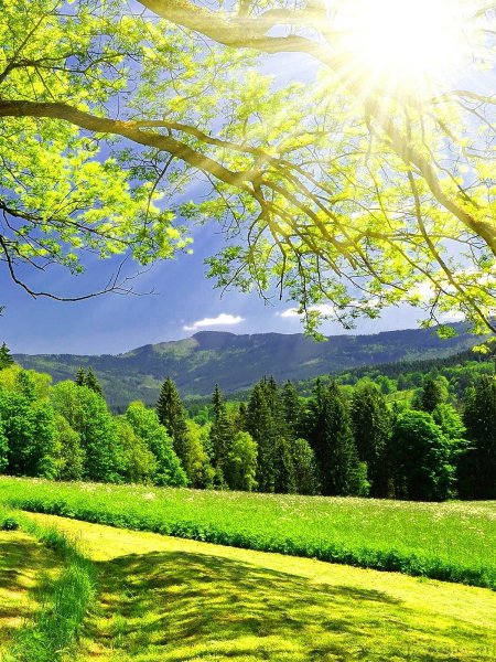 Яркая природа