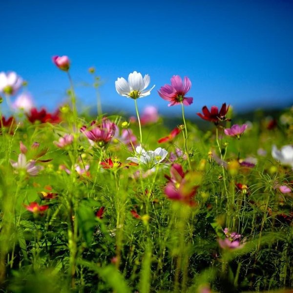 Красивая природа на заставку