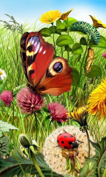 Летний пейзаж