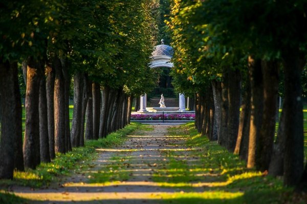 Усадьба Архангельское Красногорск