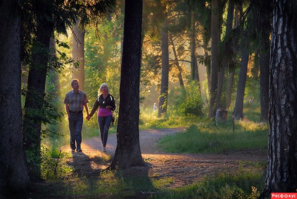 Гулять в лесу