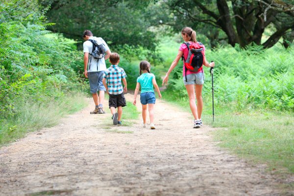 Прогулка на природе