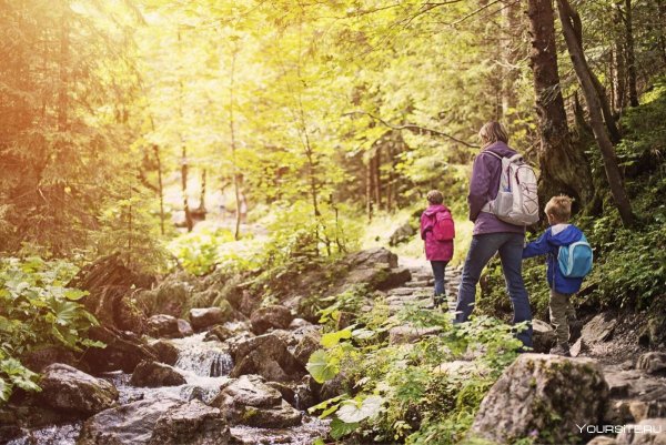 Прогулка на природе