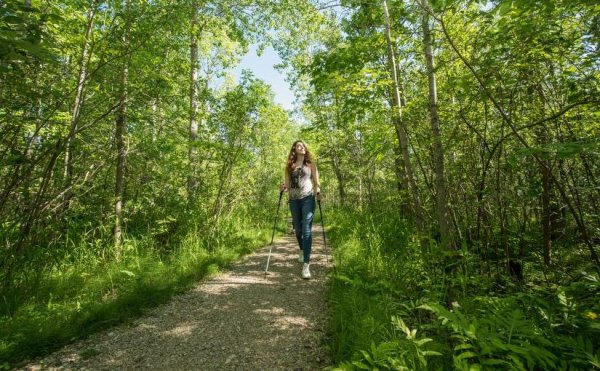 Прогулка с детьми на природе