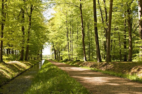 Прогулка по осеннему лесу