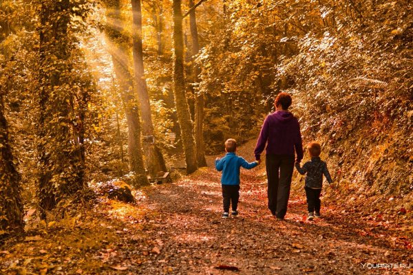 Прогулка в лесу