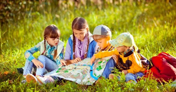 Прогулка в летнем лесу