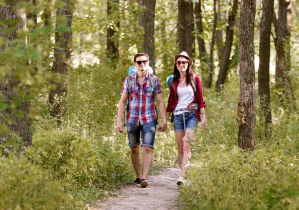 Поход в лес