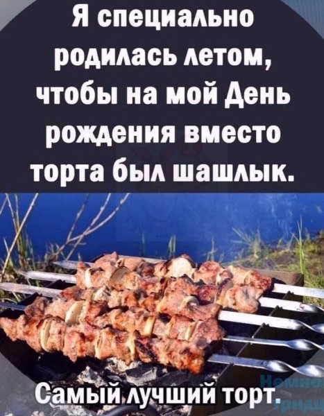 Родился летом чтобы есть шашлык