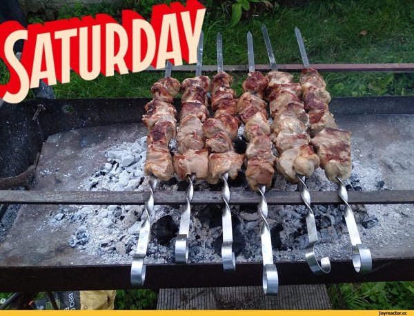 Шутки про шашлык