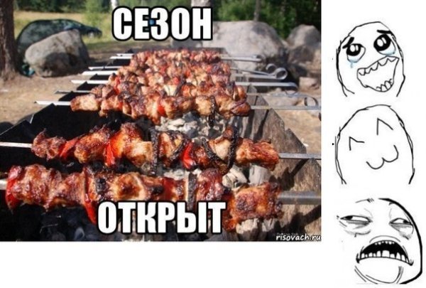 Приколы про шашлыки на природе