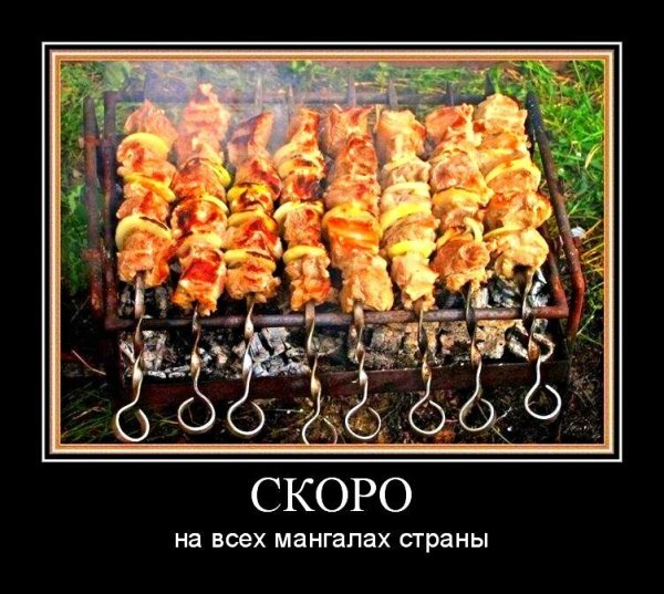 Шашлык и пиво на природе