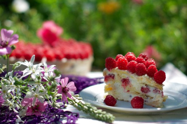Малиновый торт летний
