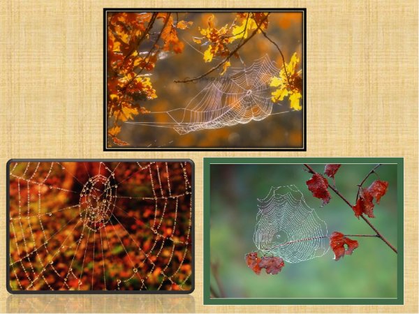 Дмитрий Борисович Кедрин бабье лето