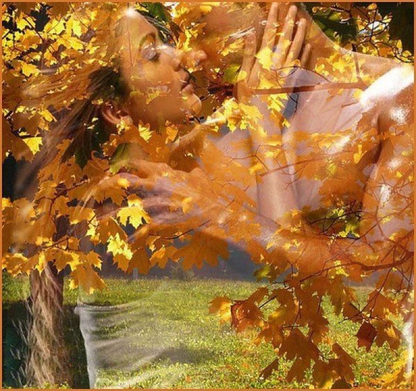 Кружит осенний листопад