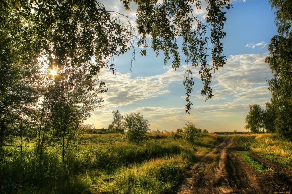 Утро в деревне