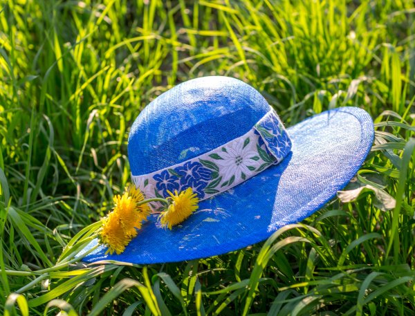 Шляпа на траве