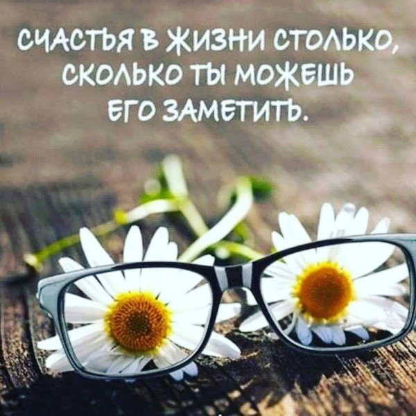 Солнечные пожелания с добрым утром и днем