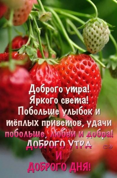 Сдобрым субботним уутром