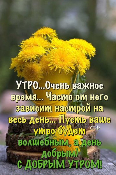Цитаты с добрым утром