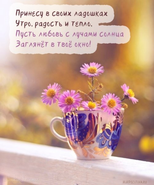 Добрые пожелания с ромашками