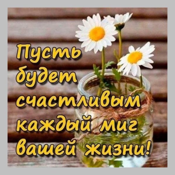 Высказывания про цветы и улыбку