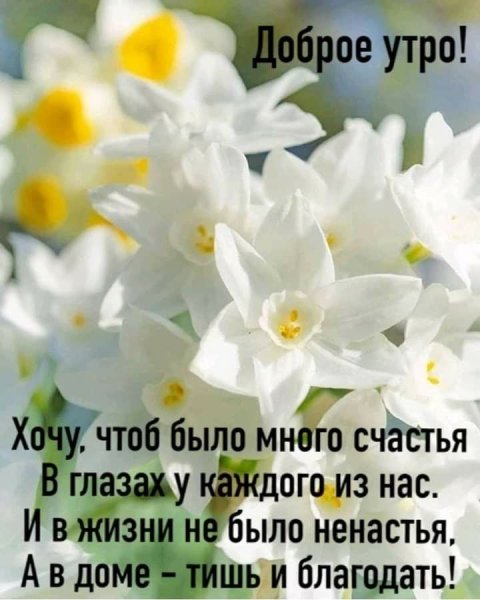 Летние цитаты