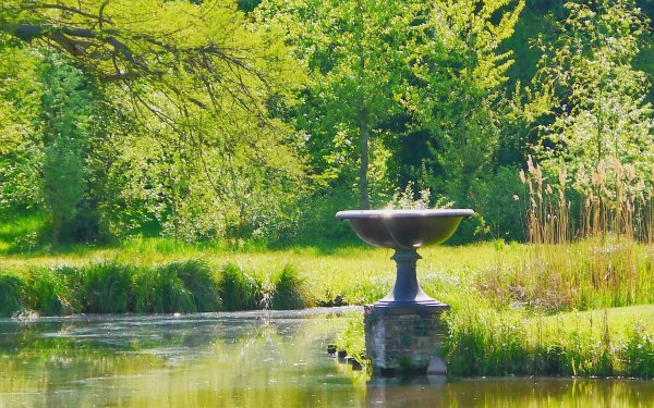 СПБ летний сад фонтан