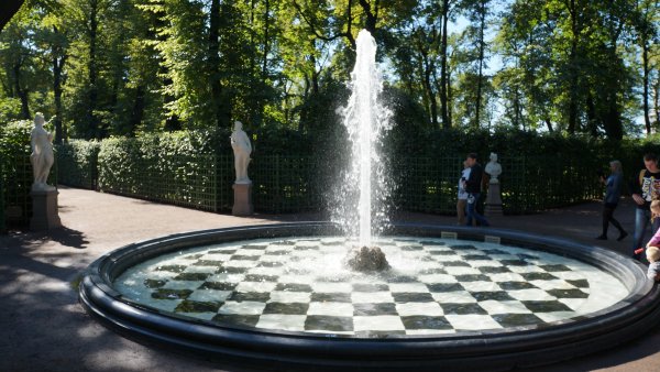 Мадейра парк цветок