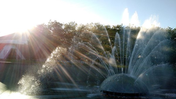 Нижний парк Петергофа Петергоф фонтаны