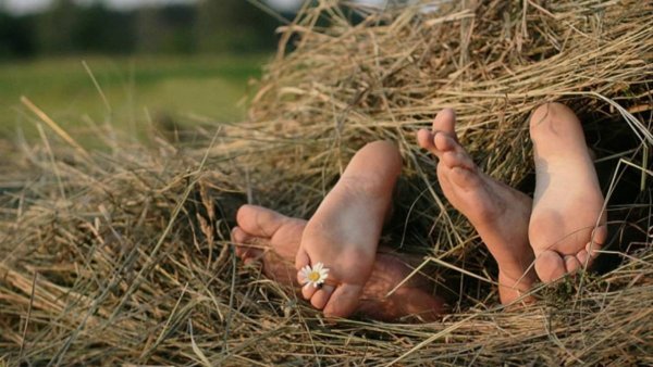 Наслаждаемся летом оно такое короткое