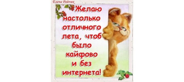 Лето картинки прикольные