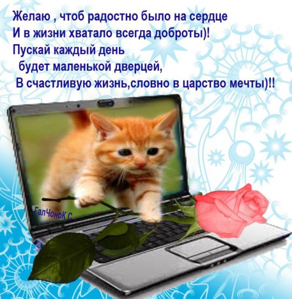 Море туда хочу