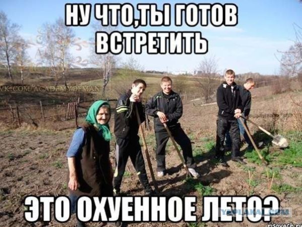 Скорее бы лето статусы