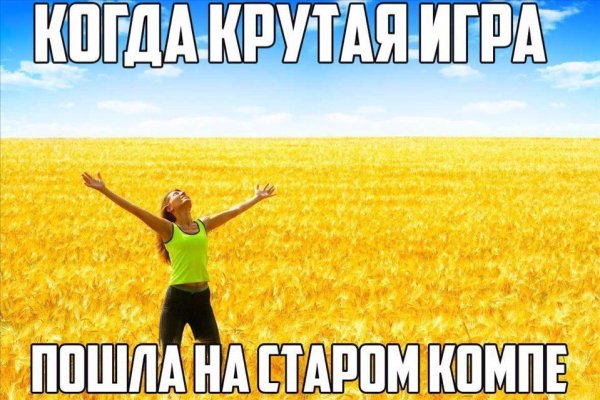 Псы и минусы интернета