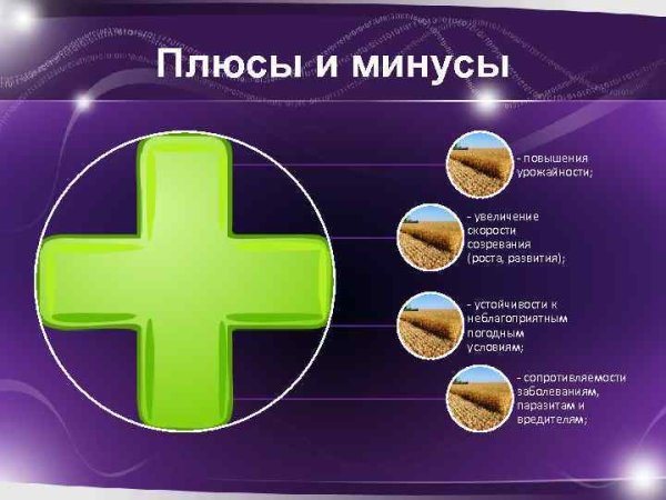 Плюсы и минусы имени Соня